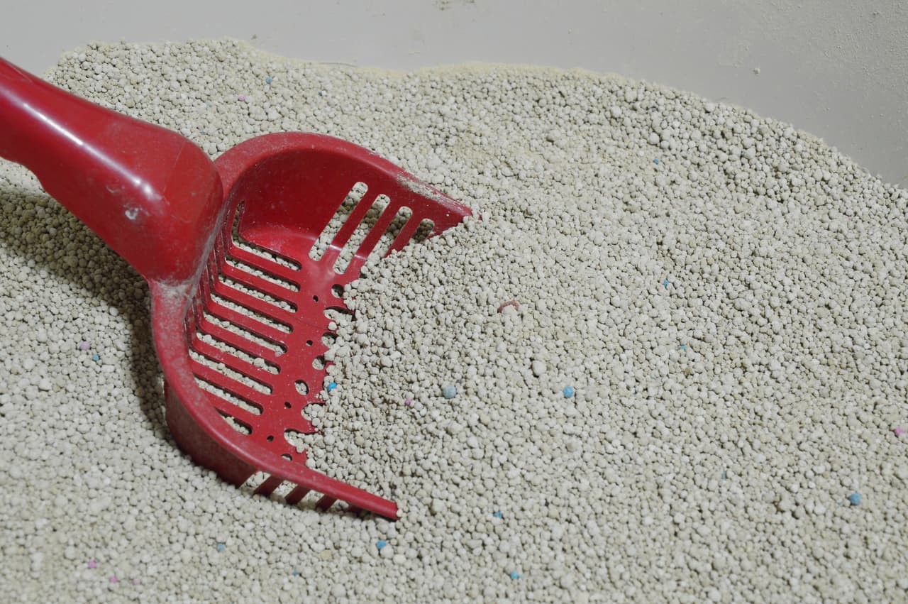 Limpiar una caja nueva o usada requiere un mismo método.