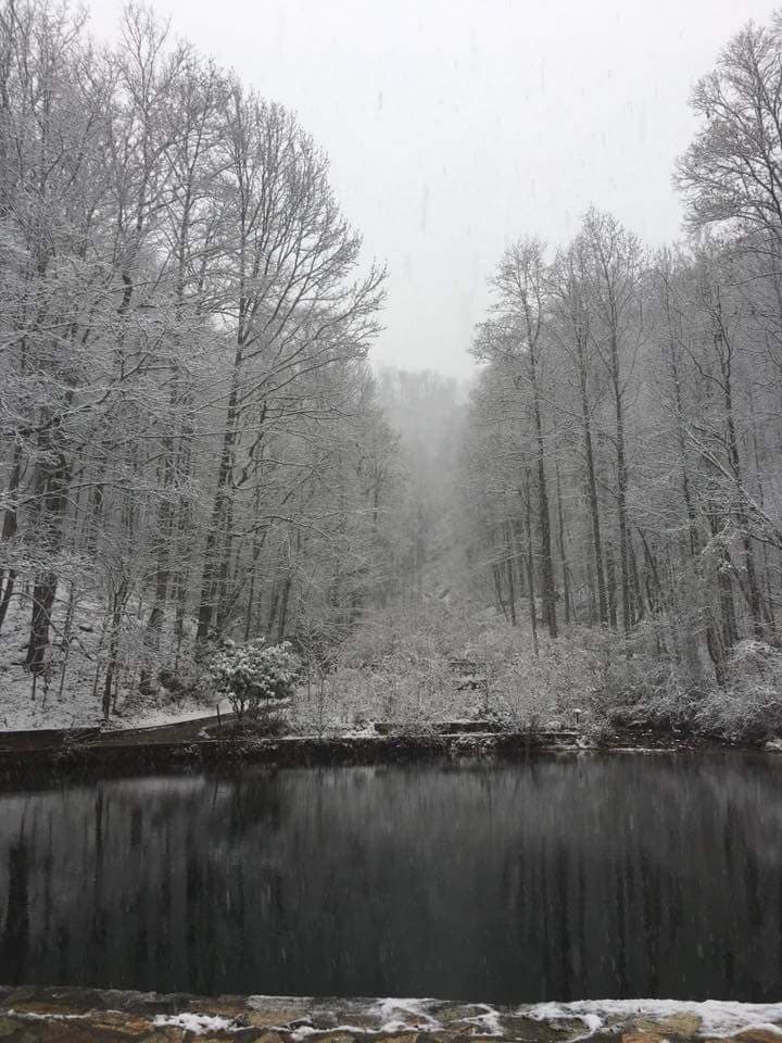 En general, los visitantes se sorprenden de la belleza de la naturaleza de Georgia que se abre ante ti cuando la densa flora entra en hibernación durante el invierno.