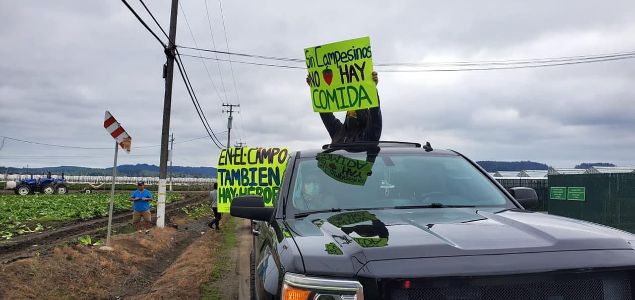 'Fue genial ver las caras felices de la gente trabajadora en los campos cuando todos nos dirigimos para agradecerles por su servicio' dijo otro participante de la Caravana de Agradecimiento al Campesino, realizada en la localidad de Watsonville.