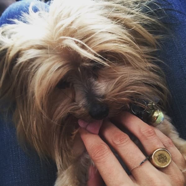 La consentida del hogar.