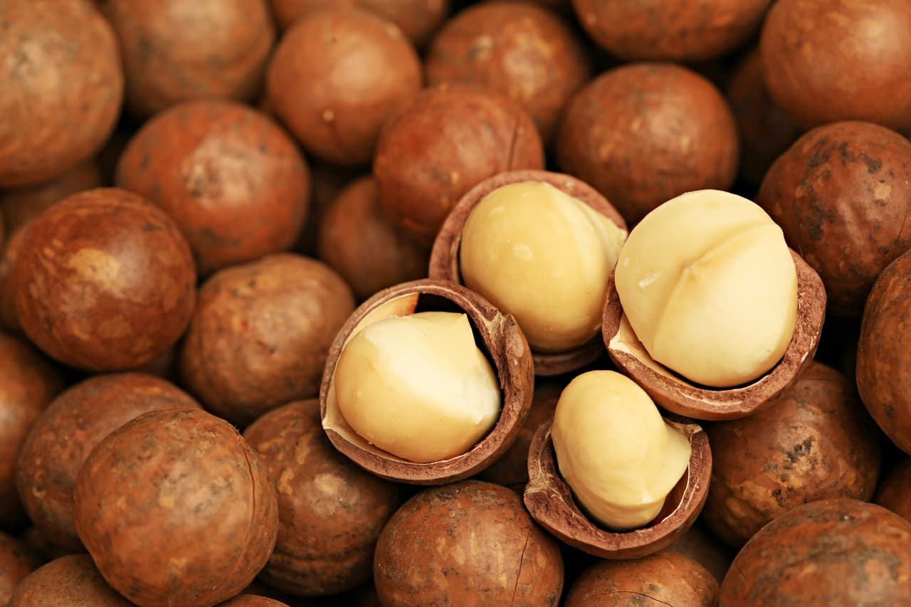 Nueces de macadamia. Ayuda a mantener equilibrados tus niveles de colesterol y contienen el aminoácido l-arginina, que previene enfermedades cardiovasculares.