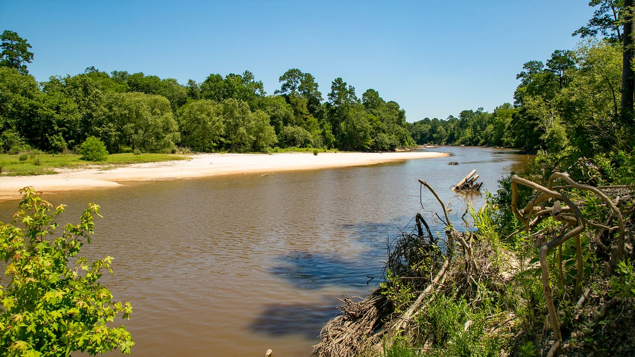 El
<b><a href="https://www.univision.com/local/houston-kxln/el-parque-texano-village-creek-ofrece-una-diversidad-de-vida-silvestre-que-puede-ser-disfrutada-con-precaucion-video">Parque Estatal Village Creek</a></b> está ubicado en el poblado de Lumberton, Texas, unas 90 millas al este de
<a href="https://www.univision.com/temas/houston">Houston.</a> La dirección exacta es:
<b><a href="https://www.google.com/maps/place/8854+Park+Rd+74,+Lumberton,+TX+77657/@30.2509981,-94.1792666,17z/data=!4m13!1m7!3m6!1s0x863930ec7f1168fb:0x50a04e350ec0e93b!2s8854+Park+Rd+74,+Lumberton,+TX+77657!3b1!8m2!3d30.2509981!4d-94.1770779!3m4!1s0x863930ec7f1168fb:0x50a04e350ec0e93b!8m2!3d30.2509981!4d-94.1770779" target="_blank">8854 Park Road 74, Lumberton, Texas 77657.</a></b>