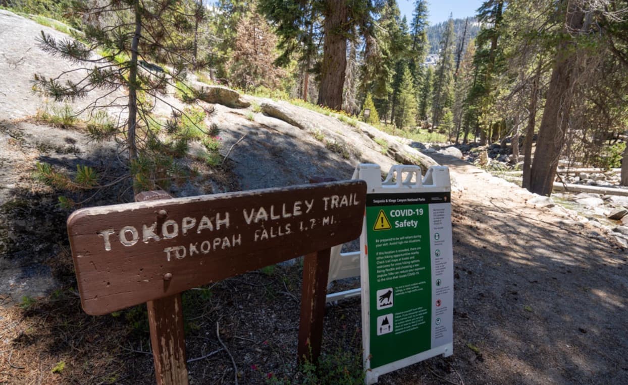 <b>El sendero Tokopah lleva a la cascada del mismo nombre que tiene una altura de 1,200 pies. </b>Se encuentra al interior del Parque Nacional Sequioa y el sendero para aventurar en escursionismo tiene una extensión de 4 millas.