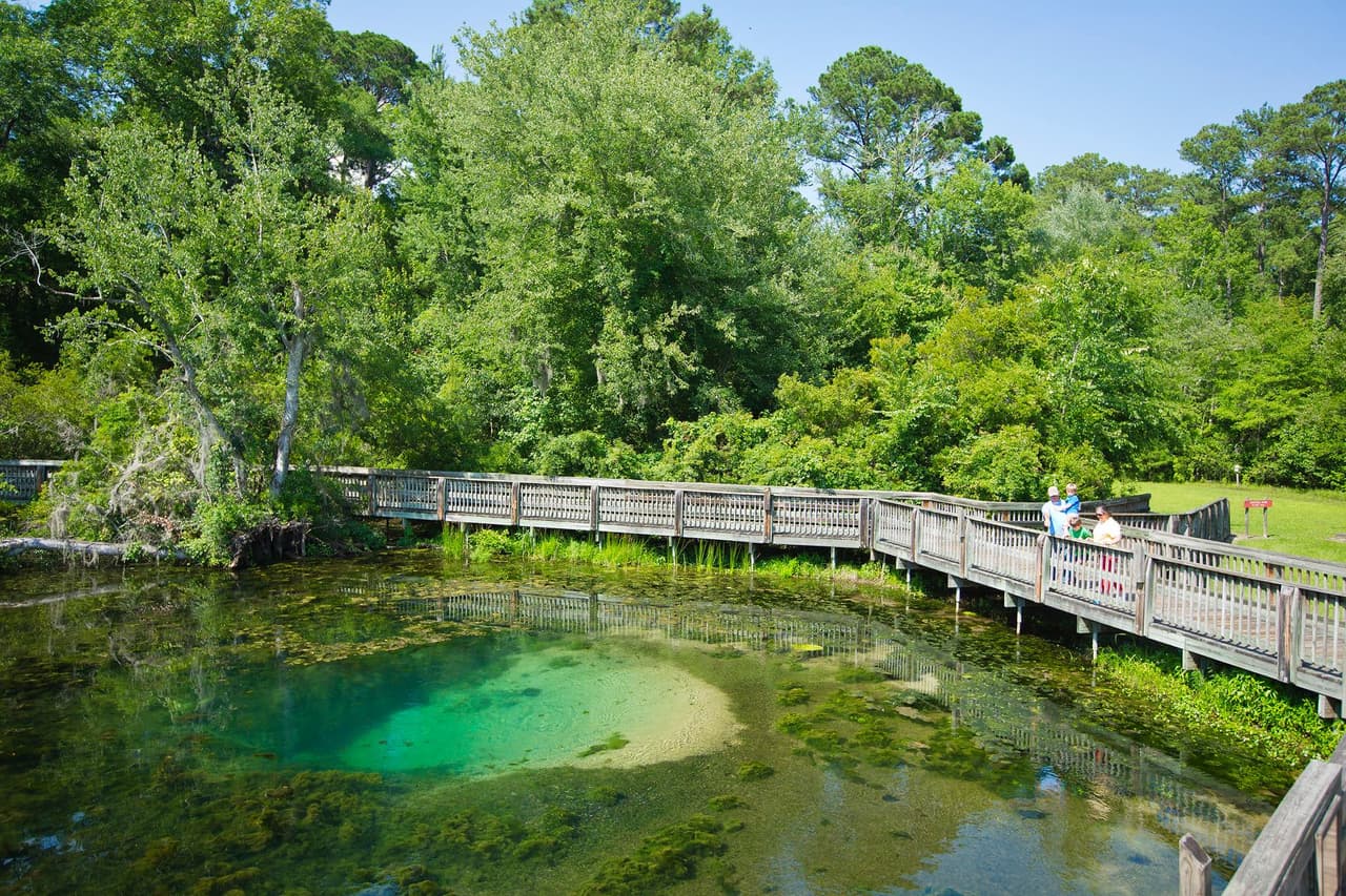 <b><a href="https://gastateparks.org/MagnoliaSprings">Magnolia Springs State Park</a></b>: Los amantes de la historia y la naturaleza encontrarán Magnolia Springs una delicia para visitar. Trae tus binoculares y zapatos para caminar para explorar los manantiales cristalinos a lo largo del paseo marítimo que ofrece una buena oportunidad de ver caimanes, tortugas y otros animales salvajes. Visita también el pequeño museo que cuenta la historia de Camp Lawton, una prisión de la Guerra Civil que era incluso más grande que Andersonville.