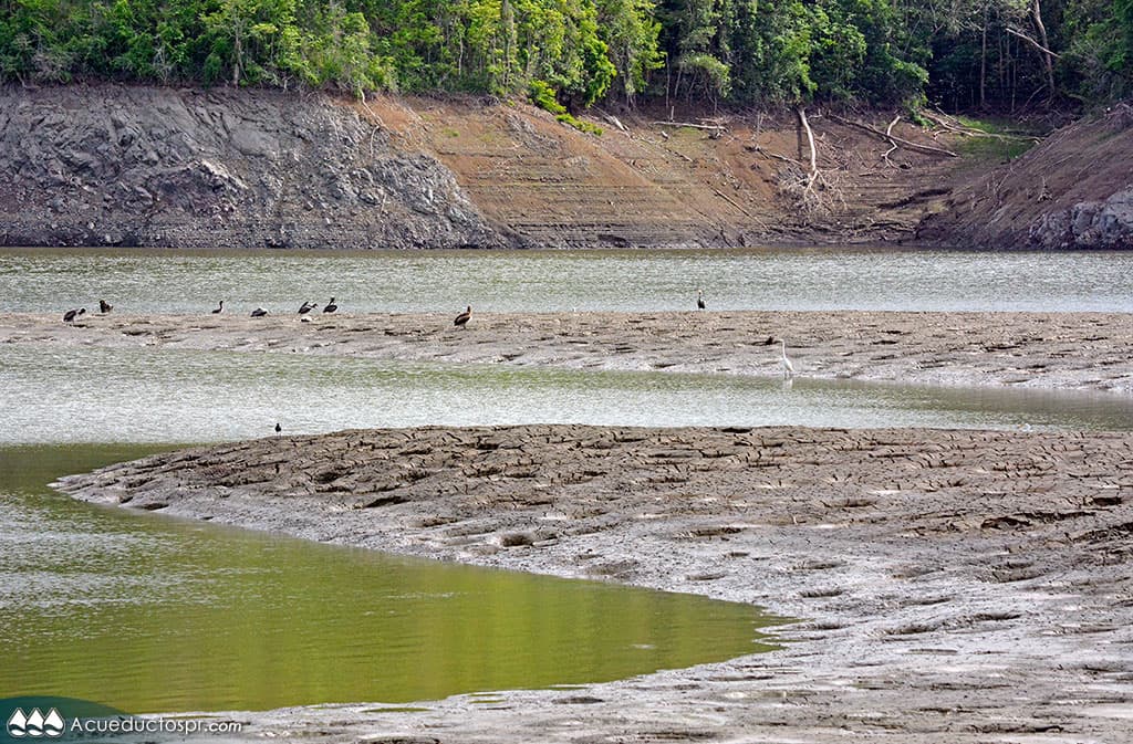 Hace un año atrás la isla vivió una de las peores sequías en su historia.