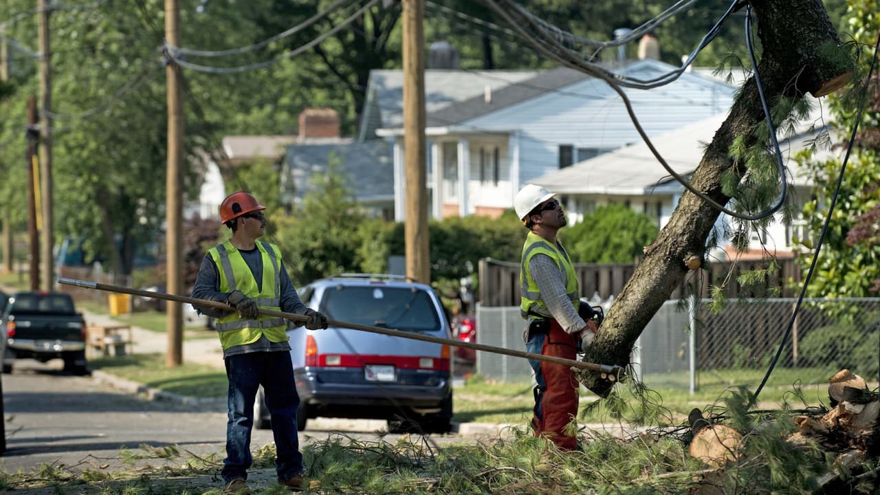 Llamar por ayuda. Informar las líneas caídas al centro de emergencia de servicios públicos local y a la Policía. No intentar liberar las líneas o quitar los desechos por cuenta propia.