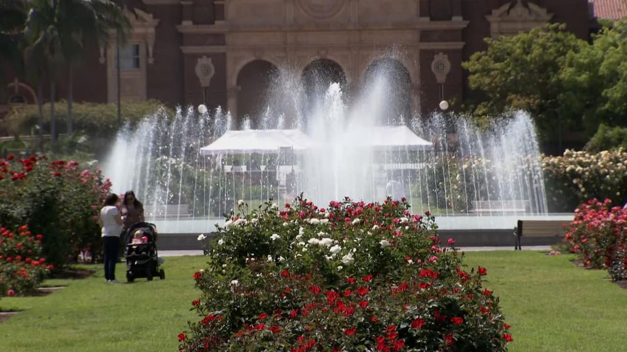 La comunidad local lo utiliza a menudo como un oasis urbano como lugar de tranquilidad y refugio. Mientras que para turistas y visitantes es un lugar al que quieren regrasar despues de conocerlo.