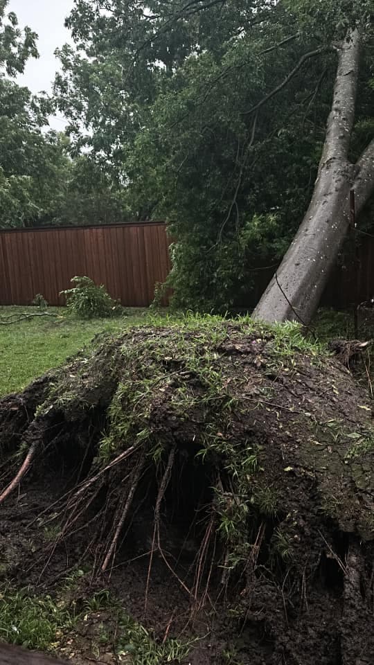 Se esperan tormentas para la tarde de este martes, con 
<b>granizo, relámpagos y ráfagas de viento de más de 80 millas por hora</b>.
<br>