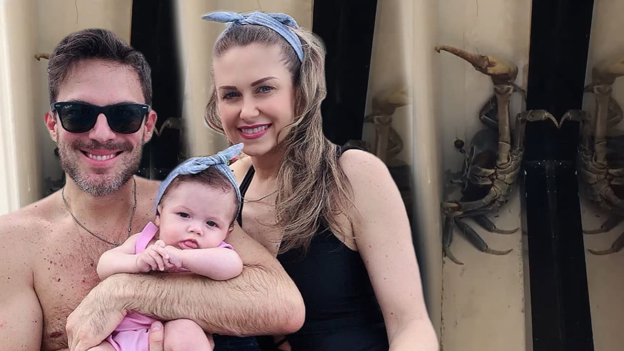 Con una chancla y un gancho, Ingrid Martz y su esposo emprenden una travesía para salvar a un cangrejo