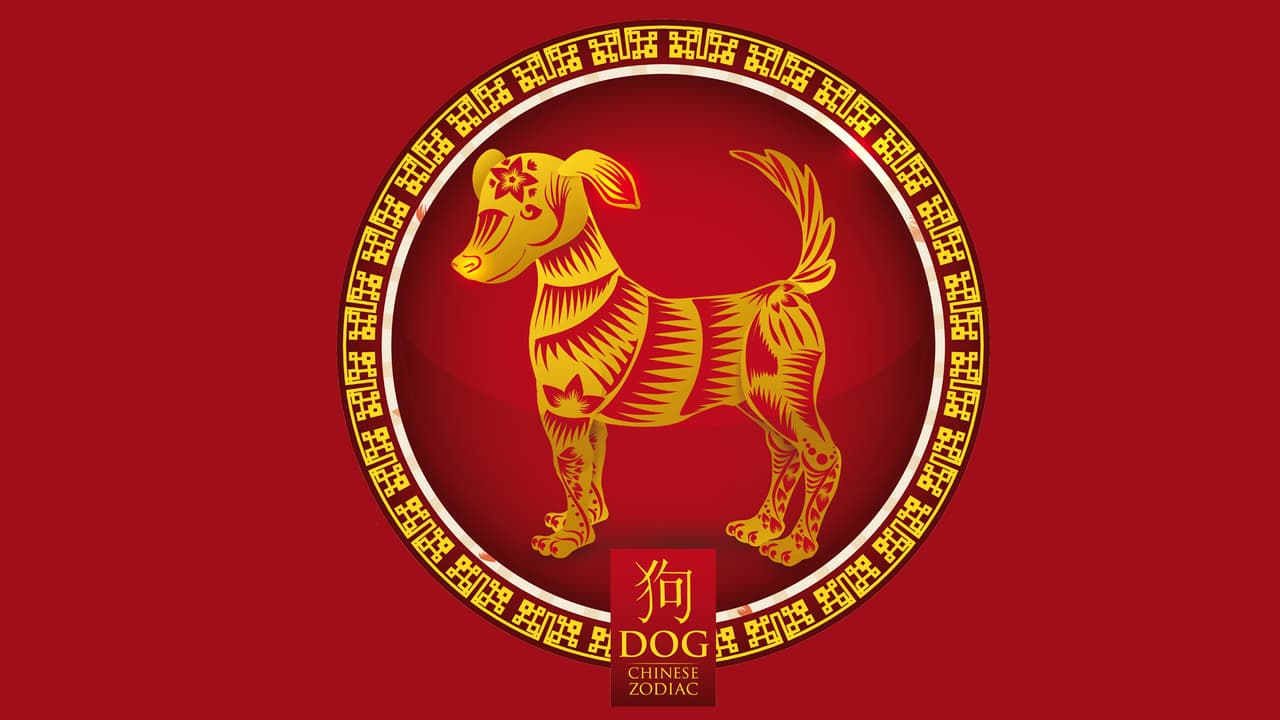 Inicia el mes del perro, la lealtad se impone y las personas son más sinceras