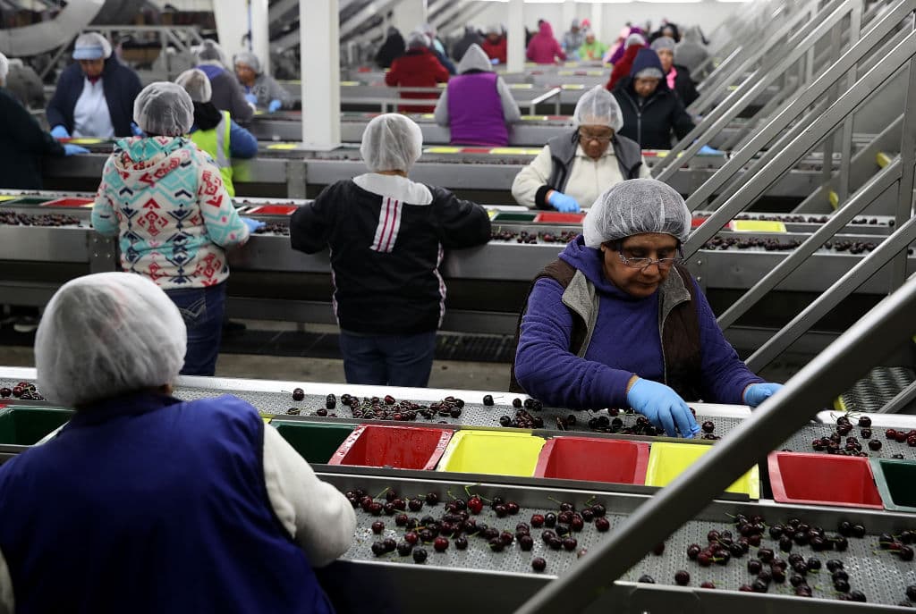 Las personas elegibles para esta ayuda son aquellas:
<br>
<b>- mayores de 18 años</b>
<br>
<b>- viven en California, Oregon o Washington </b>
<br>
<b>- no tienen estatus legal en el país</b>
<br>
<b>- son campesinos y/o trabajadores agrícolas</b>
<br>