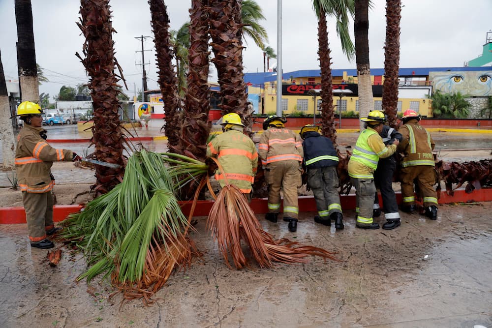Newton toca tierra de nuevo en México y se degrada a tormenta tropical