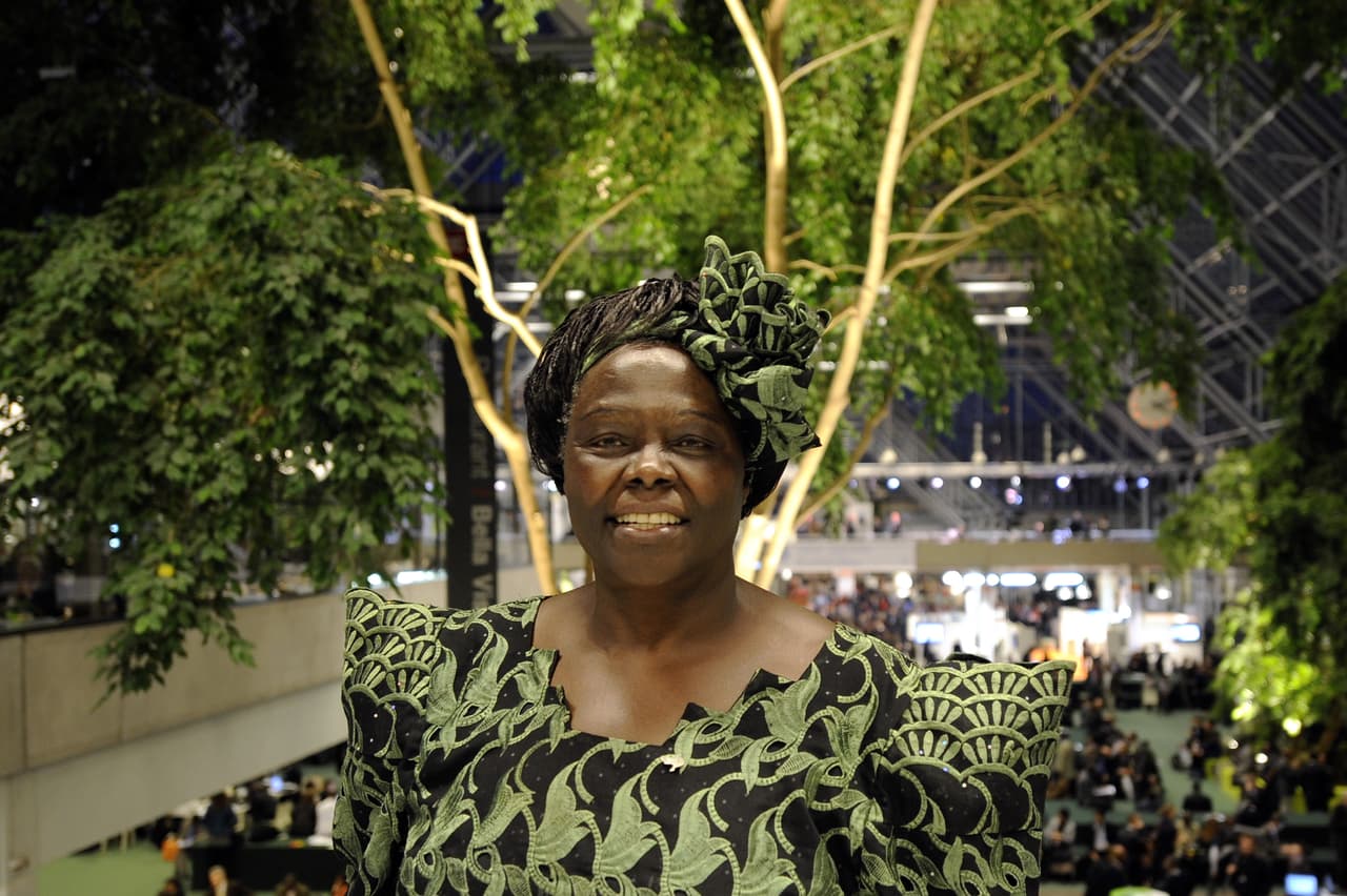 Wangari Maathai (1940 - 2011) ganó un premio Nobel en 2004 por su parte como fundadora del movimiento 'Greenbelt' que movilizaba a mujeres de Kenia a actuar contra la deforestación con la consigna de plantar árboles. Fue la primer mujer y primer ambientalista en recibir semejante galardón y también mujer en África del este, en 10971, en recibirse de doctorado y la primer mujer en ser profesora universitaria en en Nairobi, Kenia. Maathai creó la campaña 'Billion trees' de las Naciones Unidas para plantar mil millones de árboles, una forma simbólica de reparar los daños de la deforestación.