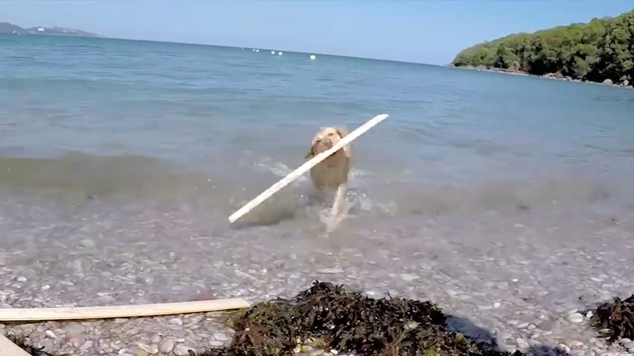 Cuando finalmente encontraron el tesoro, resultó ser un teléfono.