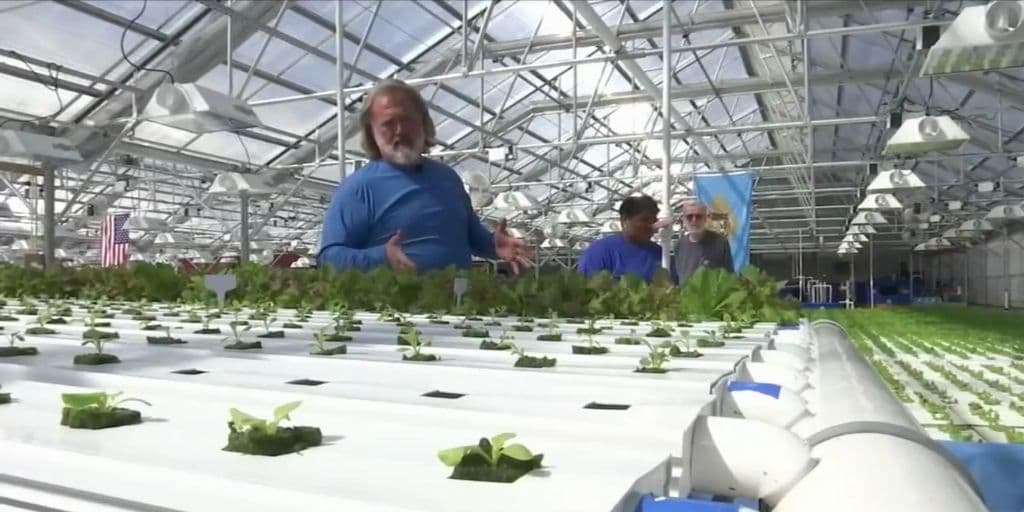 Acuaponía: agricultor de Delaware utiliza peces para cultivar plantas
