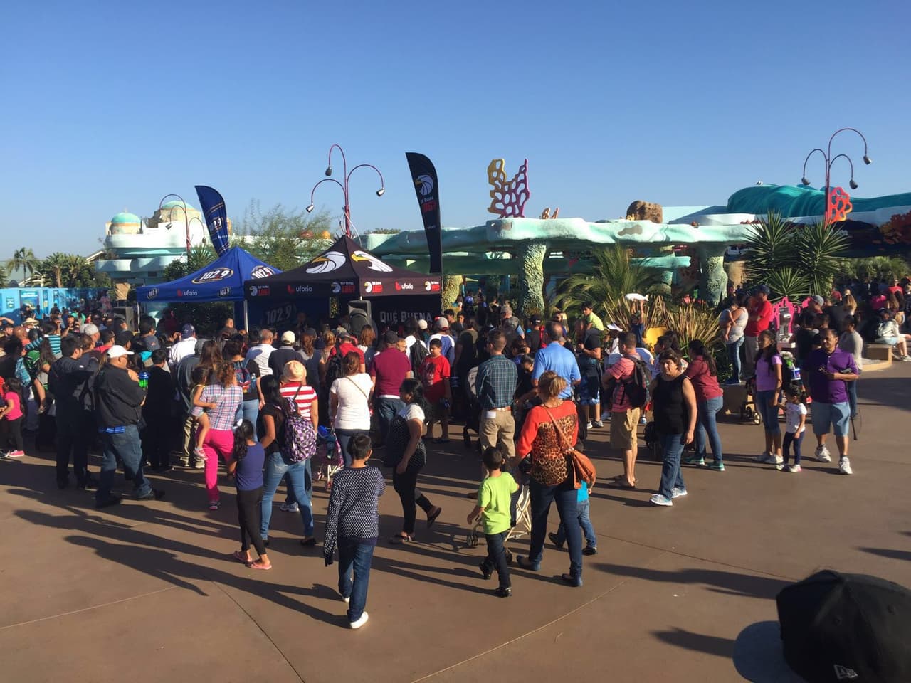 Tuvieron la oportunidad de tener un encuentro con pingüinos y saludar al público que los escucha a diario.