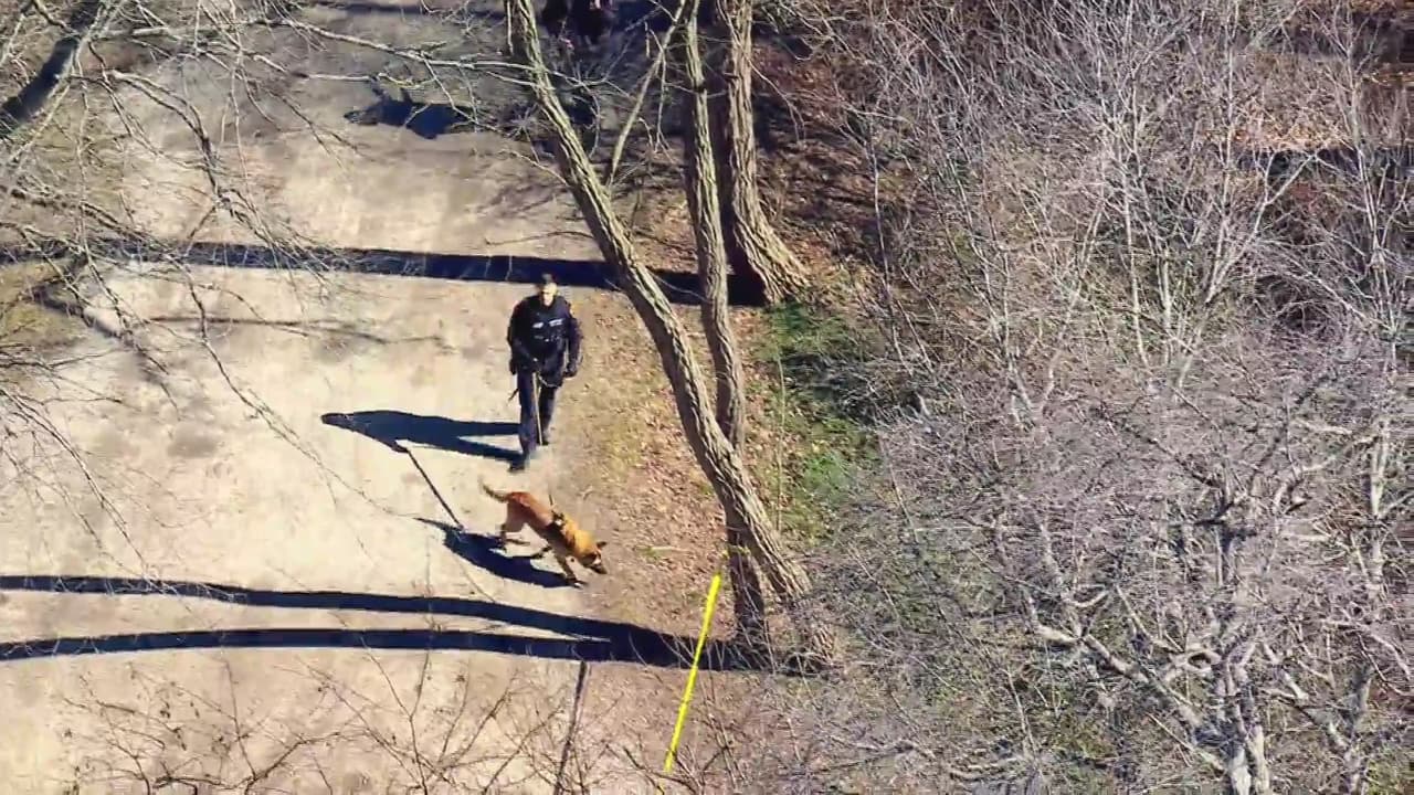 Este tranquilo pueblo ubicado en el condado de Suffolk se vio alterado por la 
<b>presencia de policías y unidades caninas</b>.
<br>