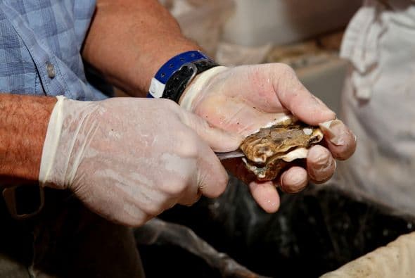 Abrir correctamente una ostra tiene toda una técnica.