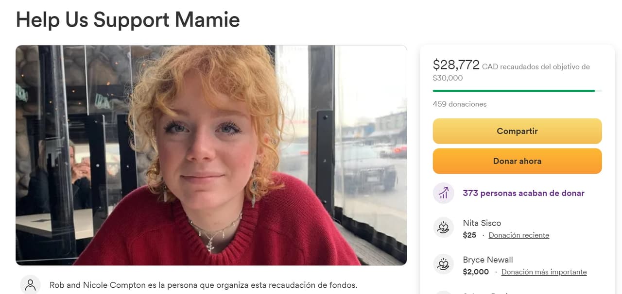 En la página de GoFoundMe solicitan donaciones para Mamie Laverock.
