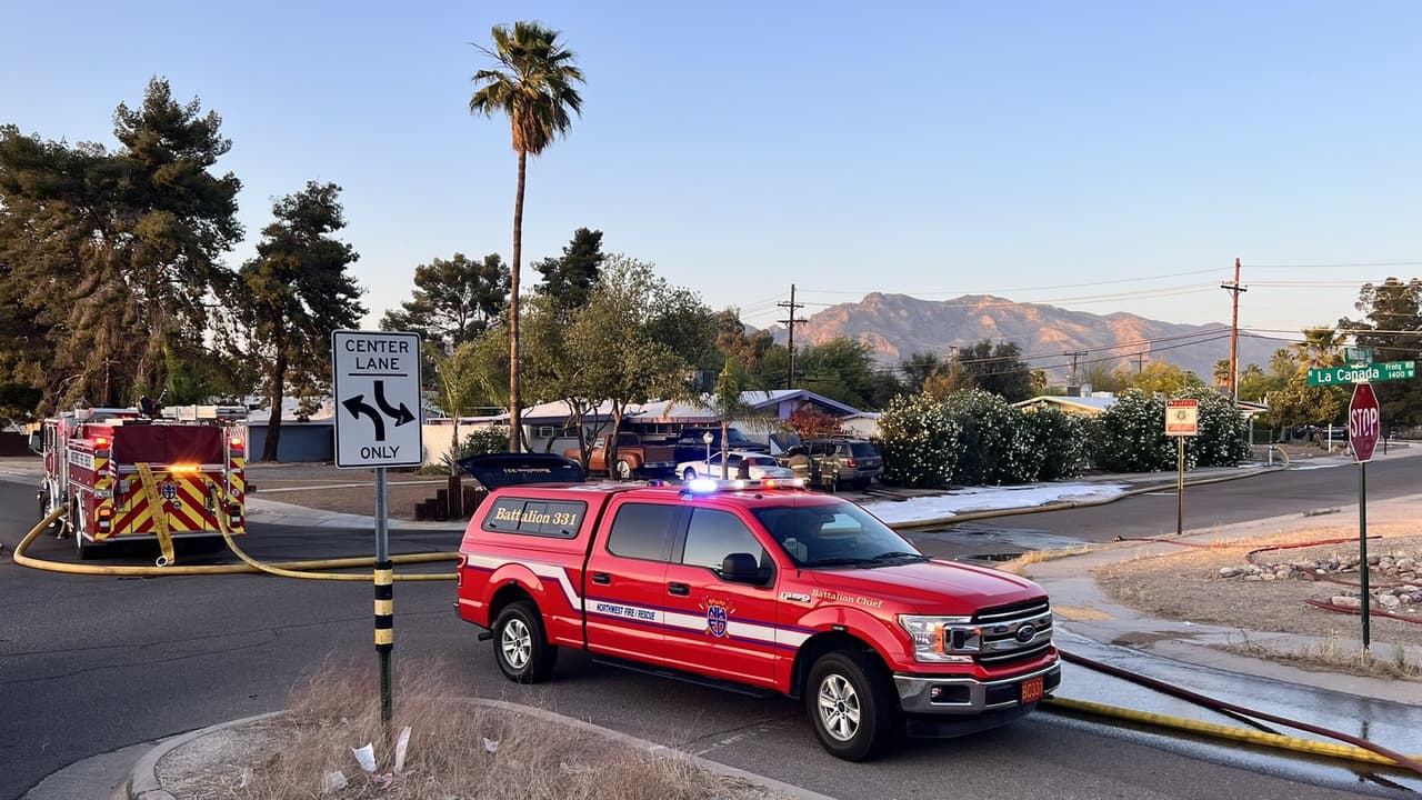 Un menor entre los heridos por un ataque de abejas en el que 8 personas resultaron afectadas
