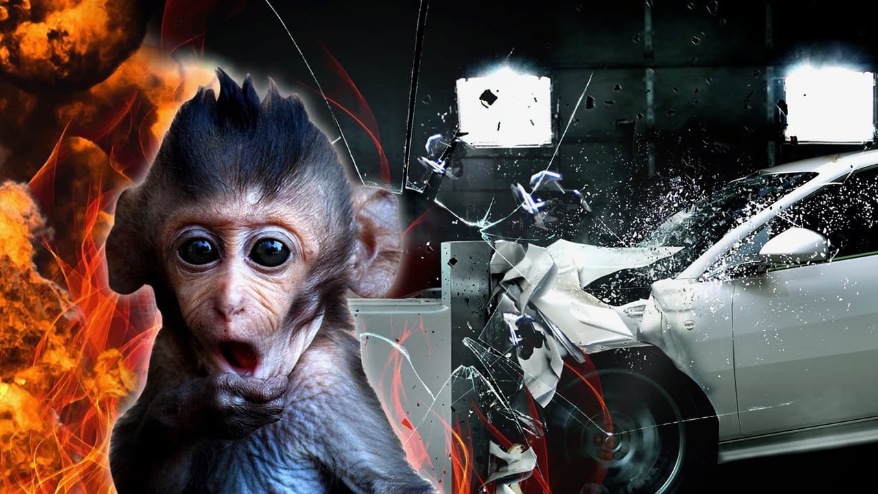 Diseños peligrosos, encubrimientos y arrogancia corporativa han sido las fuentes principales de los peores escándalos que han afectado a la industria automotriz mundial. Estos son los peores de todos los tiempos.