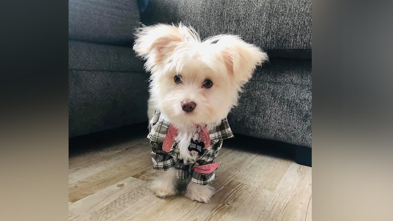 Mar Rakash - "Mi hermoso cielo ❤️" “koko”