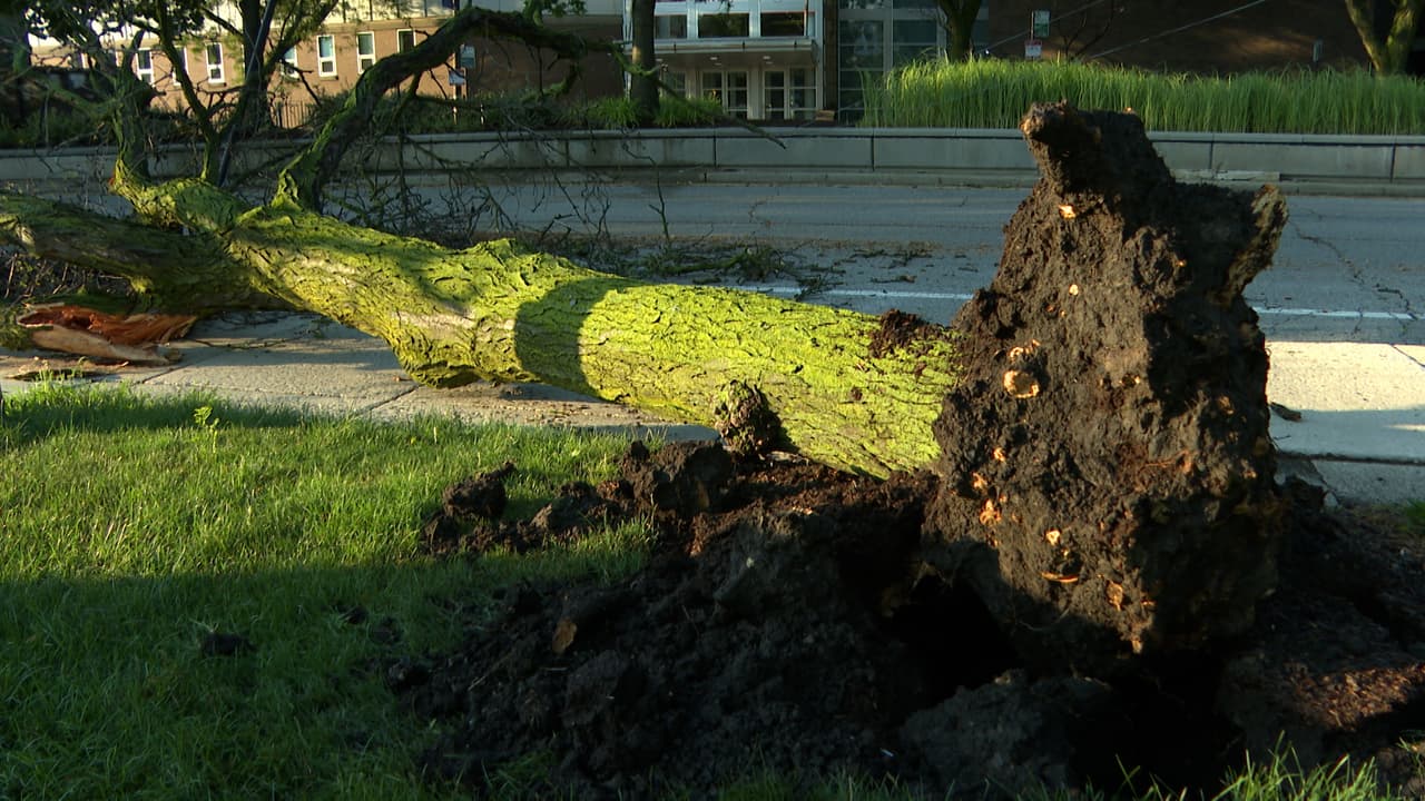 Aún falta por confirmar en qué puntos se habrían dado estos, así como analizar y reparar los daños causados.
