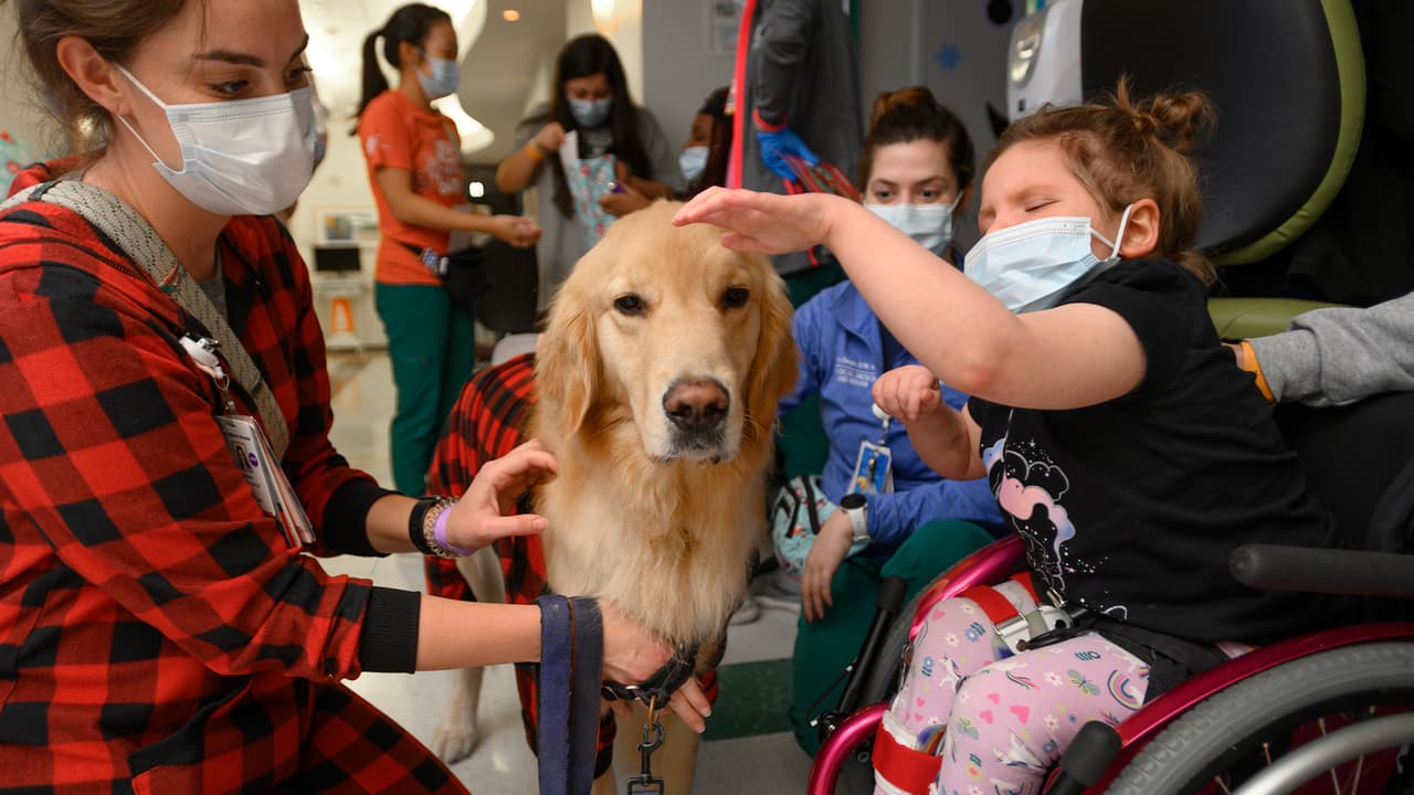 Elsa, Pinto, Pluto y Bailey visitaron el 
<a href="https://www.univision.com/local/houston-kxln/mas-de-1-600-trabajadores-de-la-salud-son-vacunados-en-el-texas-childrens-hospital-en-houston-fotos">Texas Children's Hospital</a> para ayudar a los pacientes a entrar en el espíritu navideño.