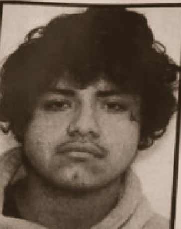 Pedro Silva Rentería