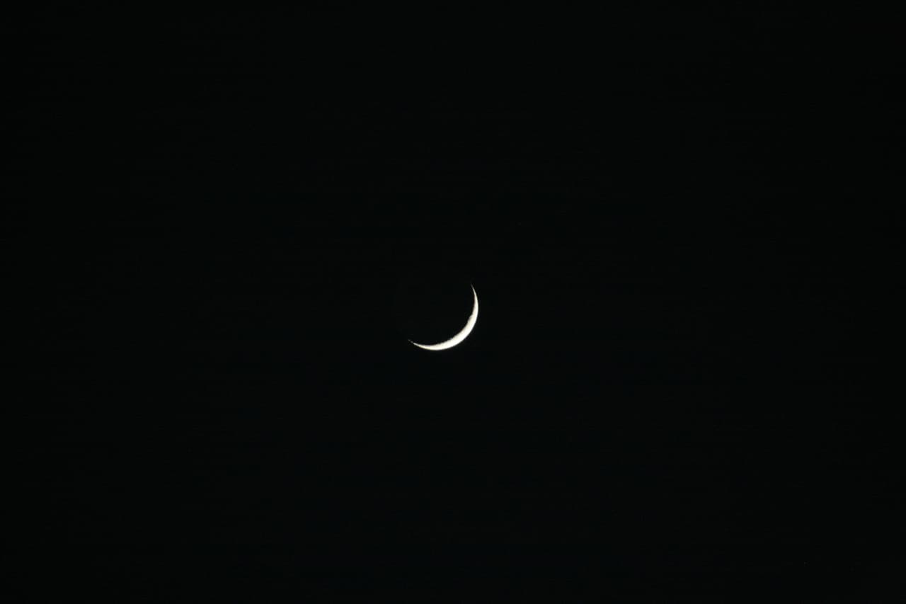 1. ‘Phylo’ comienza un día después de la Luna Nueva y termina en el Cuarto Creciente.