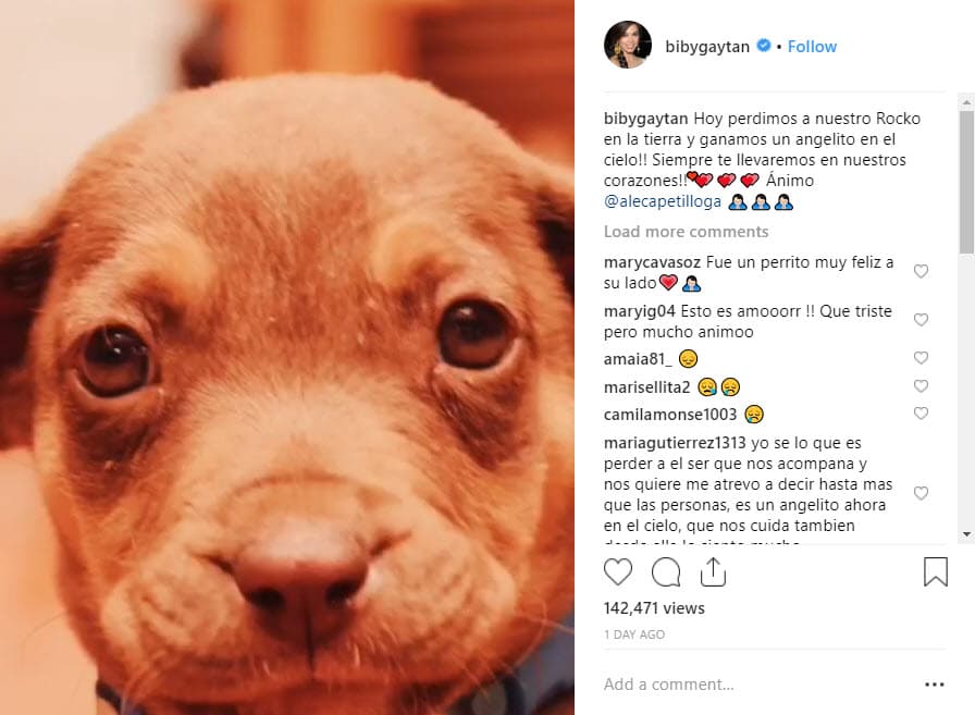 "Hoy perdimos a nuestro Rocko en la tierra y ganamos un angelito en el cielo. ¡Siempre te llevaremos en nuestros corazones!".
<br>