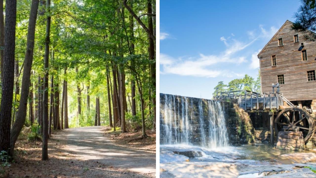 La capital de Carolina del Norte te sorprenderá con la variedad de senderos y caminerías para quienes buscan desconectarse y reencontrarse con la naturaleza.