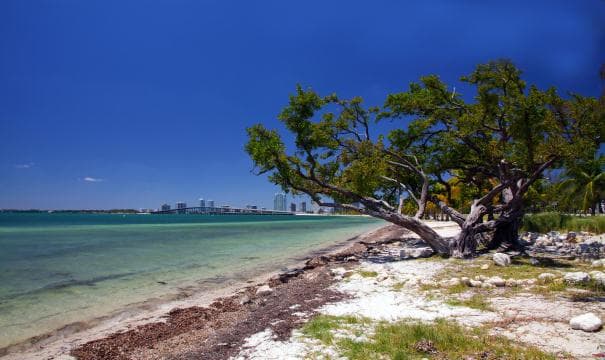 Advierten a bañistas sobre aguas residuales en playas de Miami