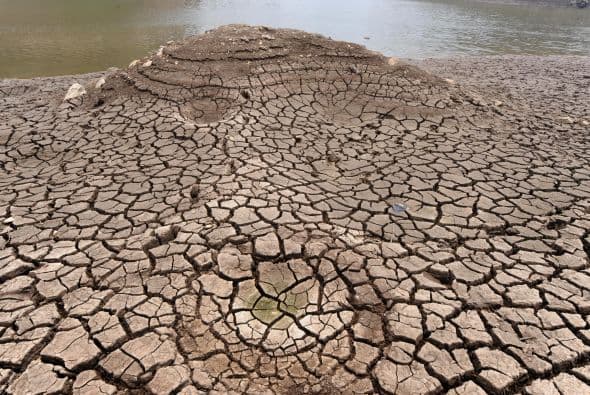 Una sequía ha arrasado sin piedad algunas zonas de Honduras en los últimos meses.