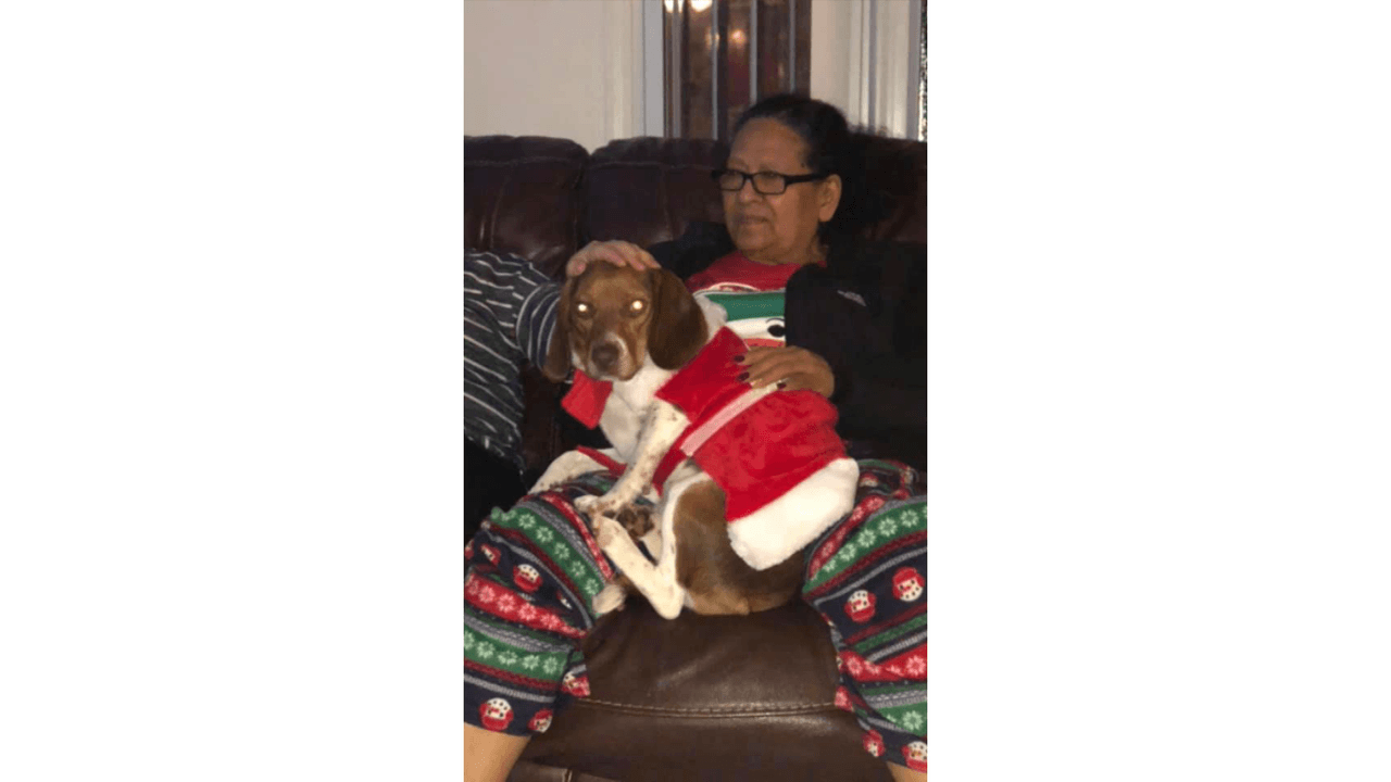 "Está es mi Gabana tiene 2 años y la queremos mucho está con mi mamá".