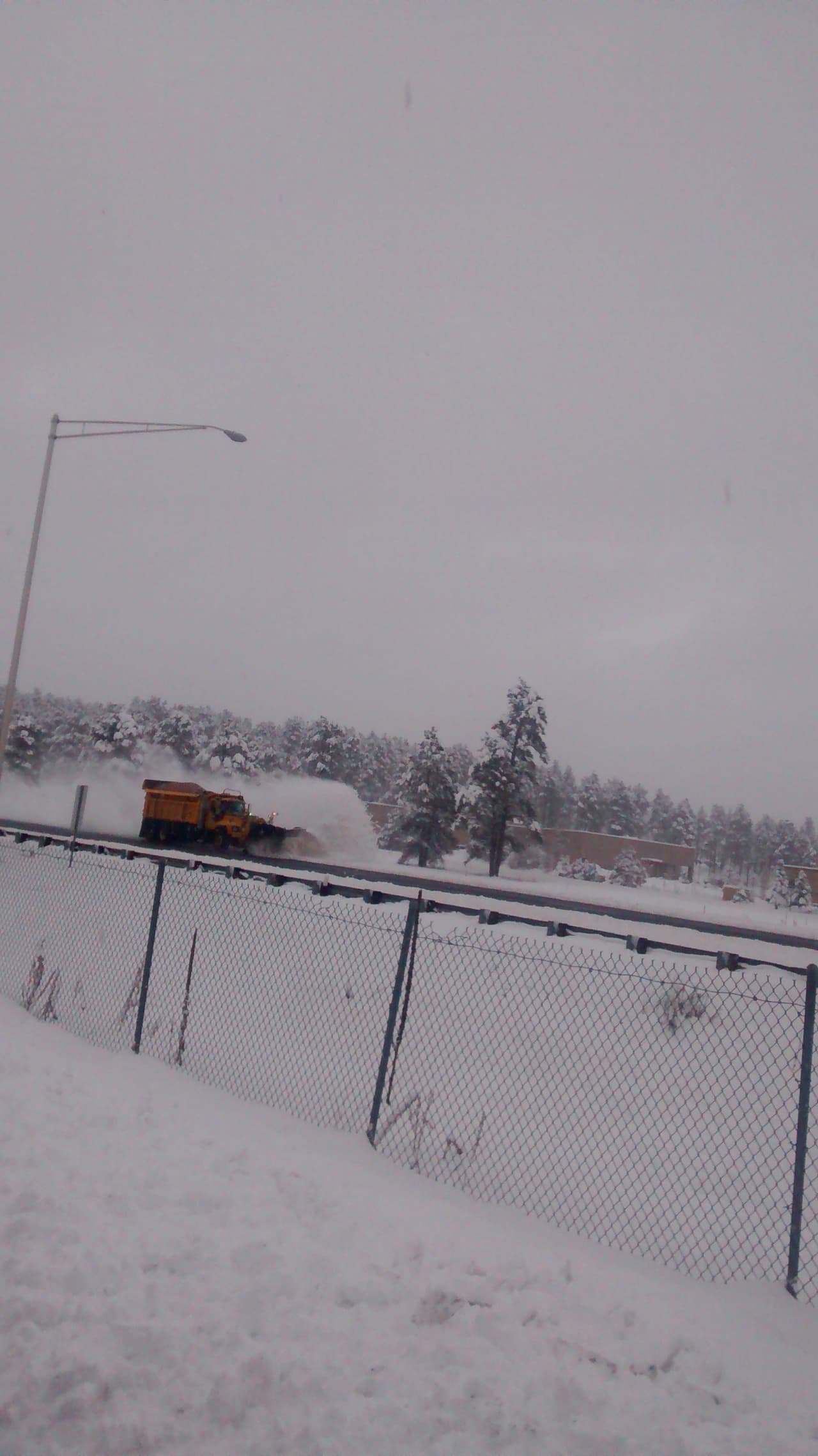 Desde este miércoles, no ha dejado de nevar en Flagstaff, cubriendo de blanco por completo la ciudad. Este jueves se esperan de 3 a 8 pulgadas de nieve.