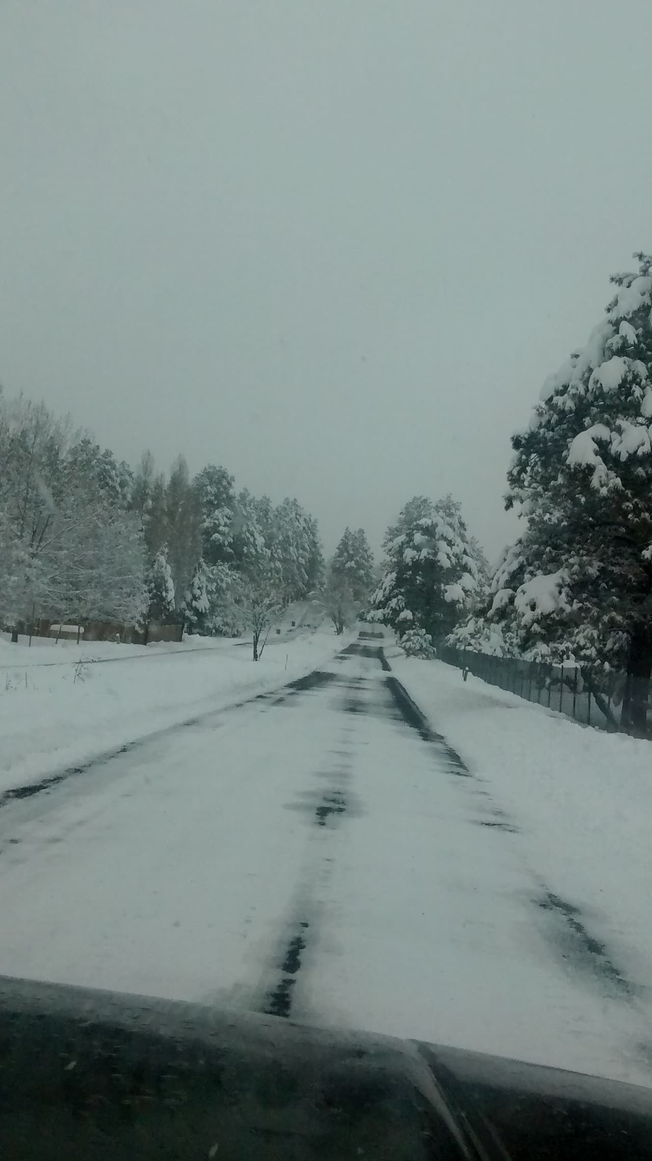 Desde este miércoles, no ha dejado de nevar en Flagstaff, cubriendo de blanco por completo la ciudad. Este jueves se esperan de 3 a 8 pulgadas de nieve.