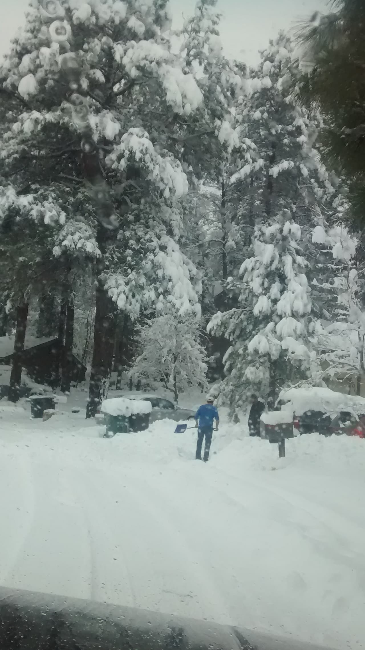 Desde este miércoles, no ha dejado de nevar en Flagstaff, cubriendo de blanco por completo la ciudad. Este jueves se esperan de 3 a 8 pulgadas de nieve.