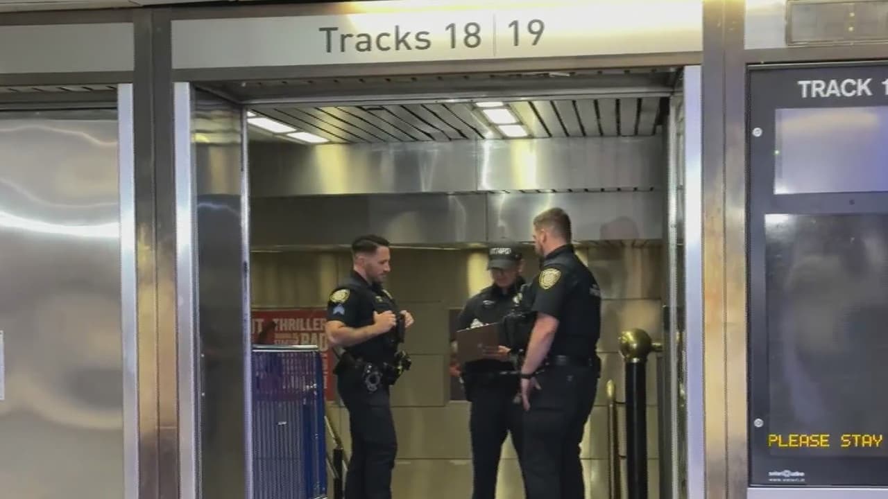 Agente fuera de servicio dispara contra presunto ladrón tras intento de robo en Penn Station