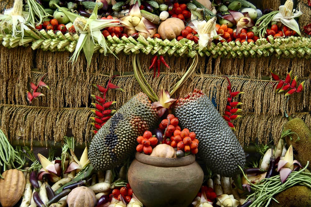 Además, se agradece por el año de buenas cosechas y se hacen ofrendas y altares, no sólo en España, por la gran figura que se ha convertido en patrono de los agricultores por todo el mundo.