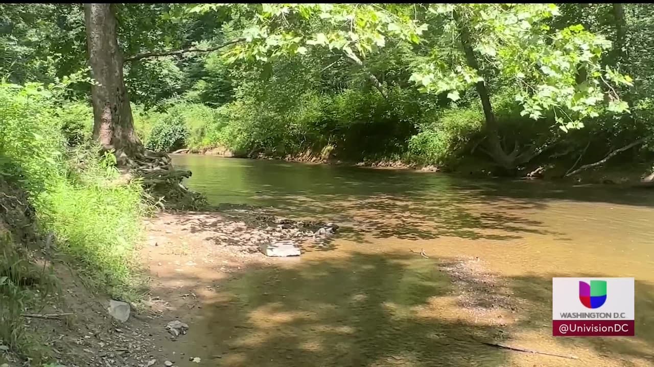 Investigan el hallazgo de un cadáver en un arroyo de Montgomery: la policía pide ayuda para saber su identidad