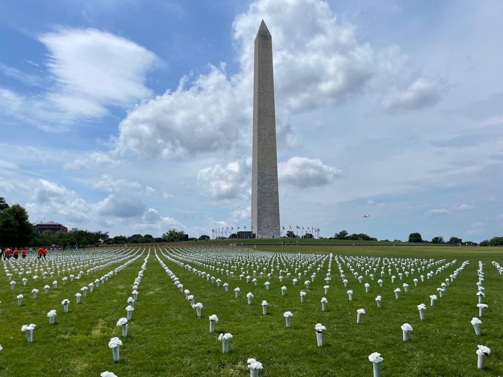 Más de 45 mil flores blancas y naranjas fueron instaladas en el National Mall, como un memorial para las víctimas de la violencia con armas de fuego.