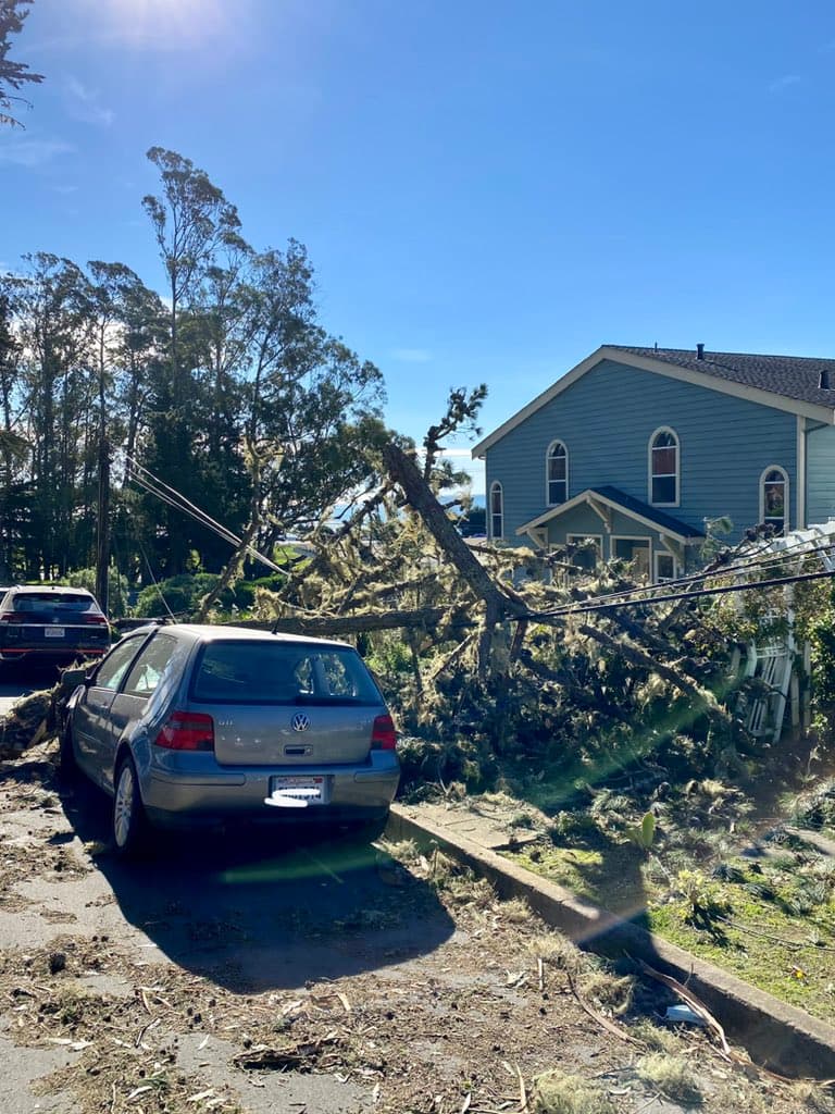 La compañía PG&E le advirtió a los residentes no intentar retirar escombros de árboles caídos, pues algunos podrían 
<a href="https://twitter.com/PGE4Me/status/1484903747901919238" target="_blank">ocultar cableado eléctrico</a> que aún podría tener corriente activa.