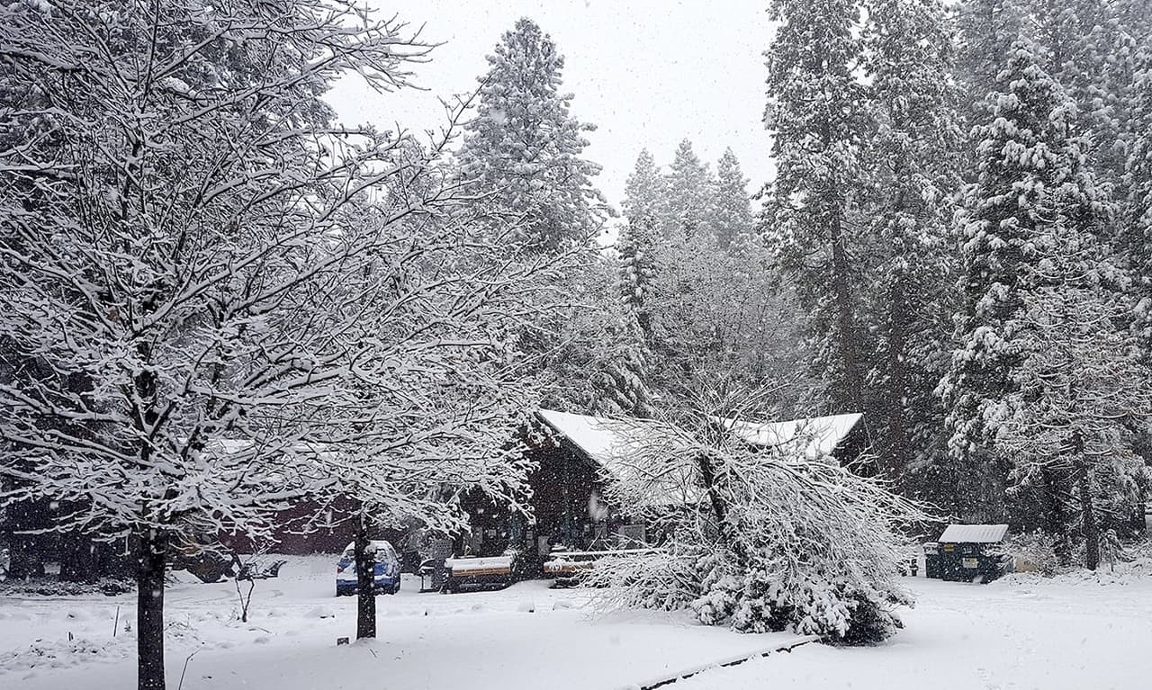 El meteorólogo del Servicio Meteorológico Nacional Taylor Nicolaisen dijo que es probable que caigan entre 9.8 y 14.9 pulgadas (25 y 38 centímetros) de nieve entre York, Nebraska, y Des Moines, Iowa, y que hacía al menos 15 años que esa zona no recibía más de 11.8 (30 centímetros) de nieve en una sola tormenta. "Se trata de una nevada histórica", dijo Nicolaisen, que se encuentra cerca de Omaha, Nebraska.
