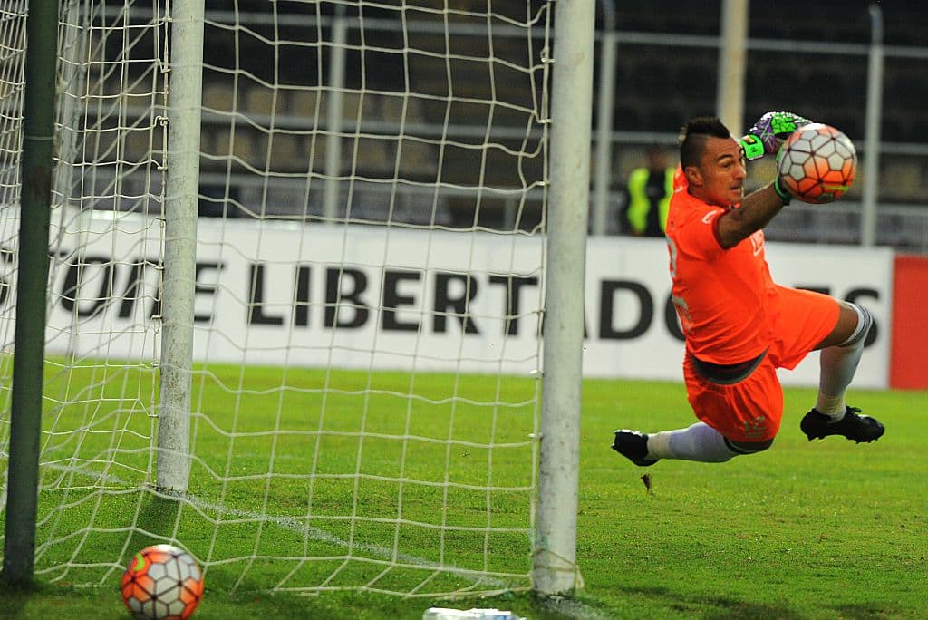 Esteban Javier Dreer Ginaneschi. Posición: Arquero. Edad: 34 años. Club: Emelec. Veces seleccionado: Dos participaciones. Descripción: El veterano portero naturalizado (nació originalmente en Argentina) ha sido tres años consecutivos mejor arquero de la Serie A de Ecuador. Sobrio y de colocación, si se requiere cumplirá bajo los tres poste de su selección.