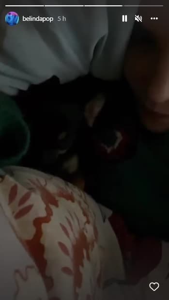 Cuatro, quien en el clip aparece durmiendo, está en custodia de la cantante desde que su 
<a href="https://www.univision.com/famosos/nodal-y-belinda-detalles-relacion-mensajes-twitter">relación con Nodal</a> se terminó a principios de febrero de este año.
<br>