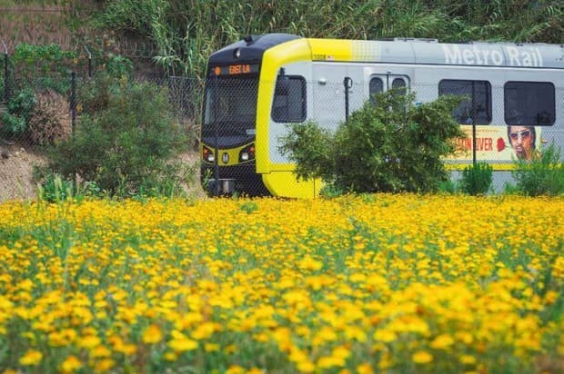 ¿Podrá Los Ángeles acabar con el mal olor en sus estaciones de Metro?
