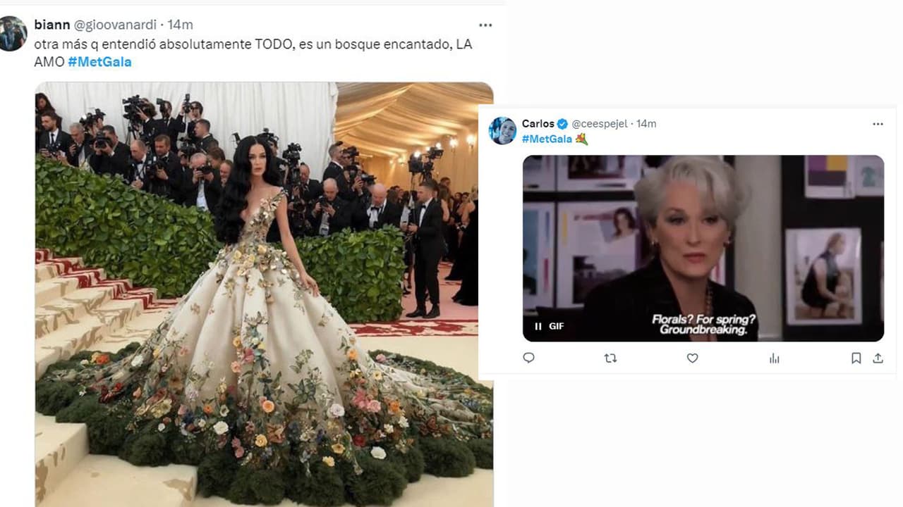 memes Met Gala 2024