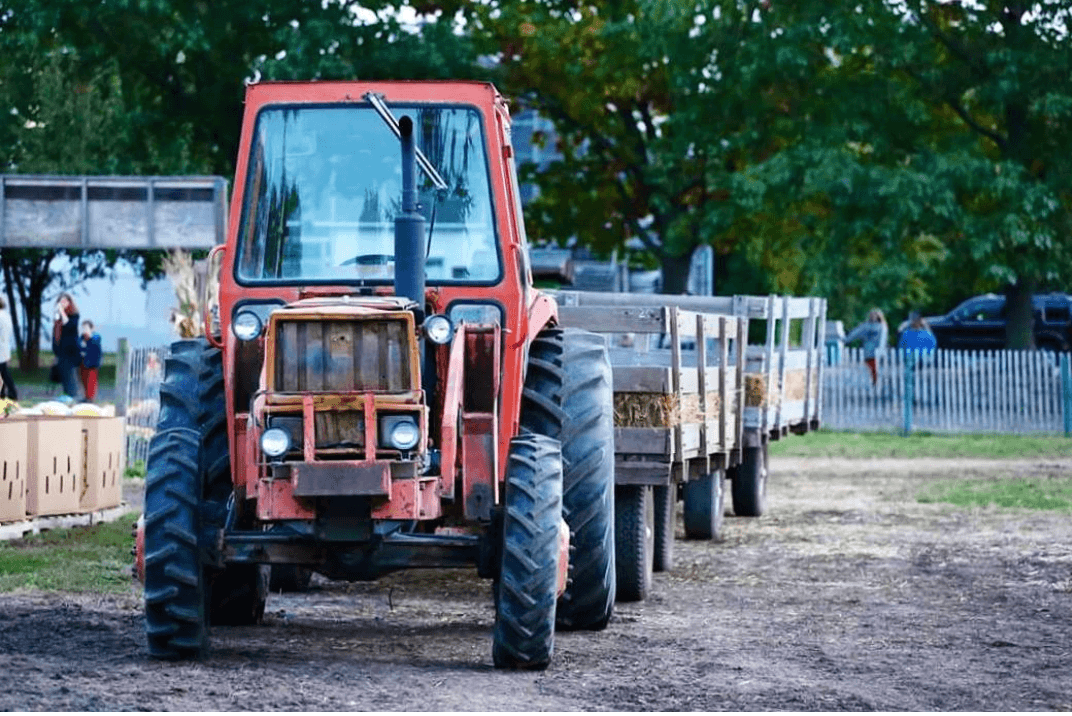 <b>Snipes Farm</b> es una organización sin fines de lucro que enseña y practica la agricultura sostenible mientras transmite el conocimiento a la próxima generación. Significado: sus manzanas no se cultivarán con el uso de pesticidas o aerosoles químicos. El precio varía según las actividades que elija; la granja ofrece paseos en carruajes, aventuras en el laberinto de maíz y más.
<br>
<br>
<br>
<b>Cuándo</b>: Abierto solo los fines de semana de octubre: del 3 al 4 de octubre, del 10 al 11 de octubre, del 17 al 18 de octubre, del 24 al 25 de octubre, los sábados de 9 a 18 h. y de 10 a.m. a 5 p.m. los domingos.
<br>
<br>
<b>Conduzca desde Filadelfia</b>: 40 minutos (890 West Bridge Street, Morrisville)
<br>
<br>