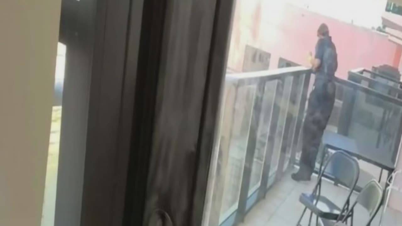 Este es el nuevo ‘Hombre Araña’ que atemoriza a los residentes de Miami Beach... y no es Spider-Man